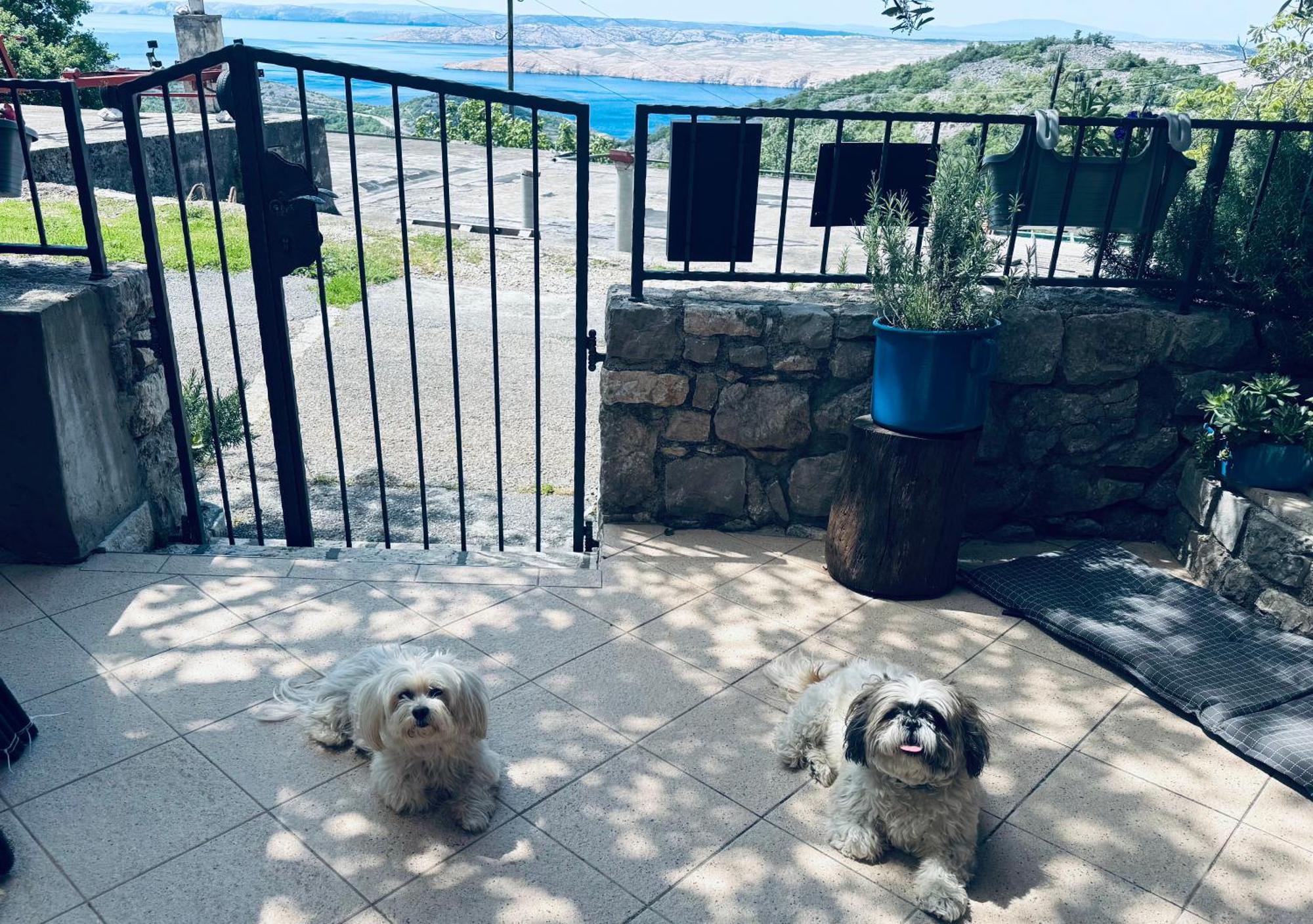 Kuca Za Odmor “Dida” Villa Stinica Dış mekan fotoğraf